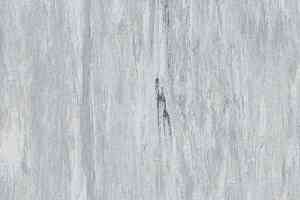 Линолеум Gerflor Classic Imperial 2mm 0002 PLATINUM фото  | FLOORDEALER